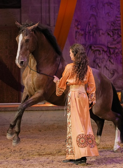 Domaine de Chantilly : cheval