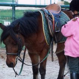 Paris Poneys