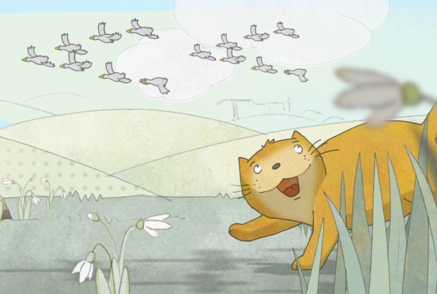 À la découverte du monde - Chat