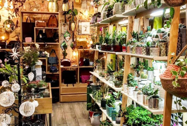 Bobart' Objets et Curiosités