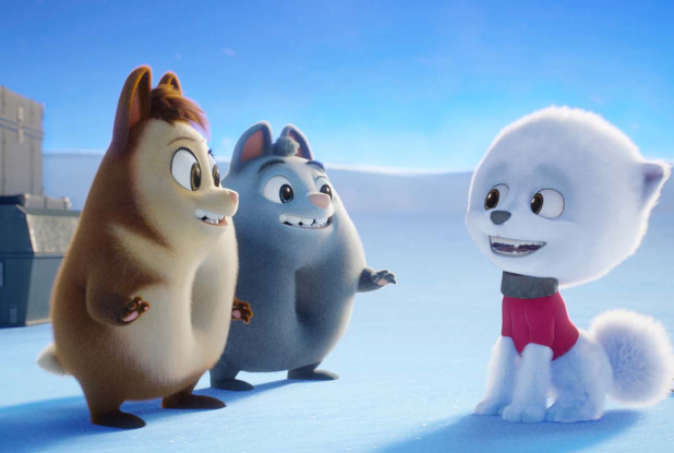 Les Bouchetrous : rencontre dans le froid