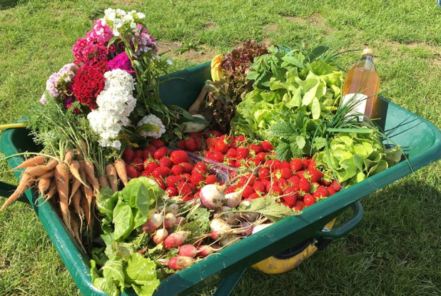 Cueillette de la Croix Verte - Brouette de fruits et légumes