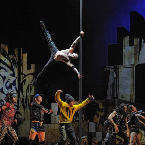 ID Évolution - Cirque Éloïze