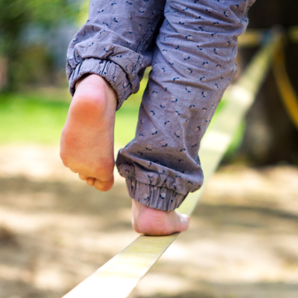Festival des activités de nature