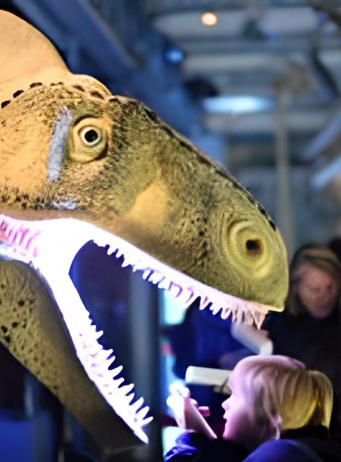 Nocturne spéciale Musée d'Histoire Naturelle de Lille
