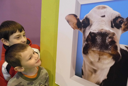 salon agriculture 2013