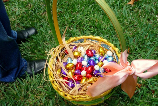 Chasse aux oeufs Parc Phoenix