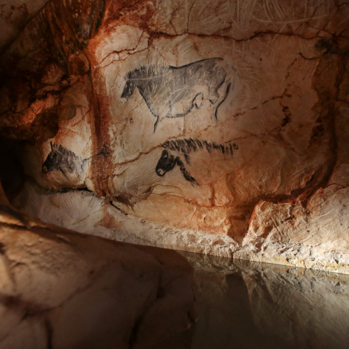 Cosquer Méditerrannée