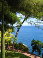 Jardin Exotique de Monaco
