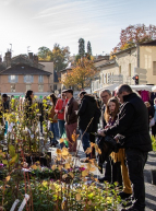 Foire de la Sainte-Catherine à Saint-Genis-Laval 2023