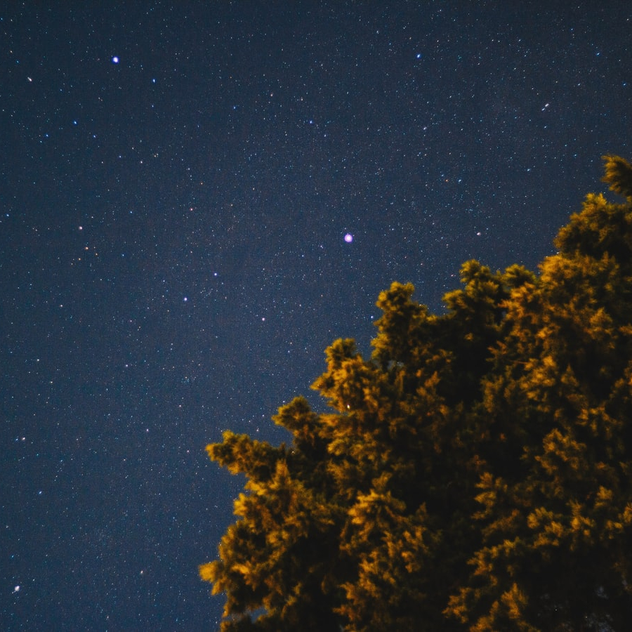 Les Nuits Des étoiles 2018 Des Sorties Gratuites En