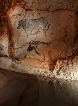 Enquêtes à la grotte Cosquer