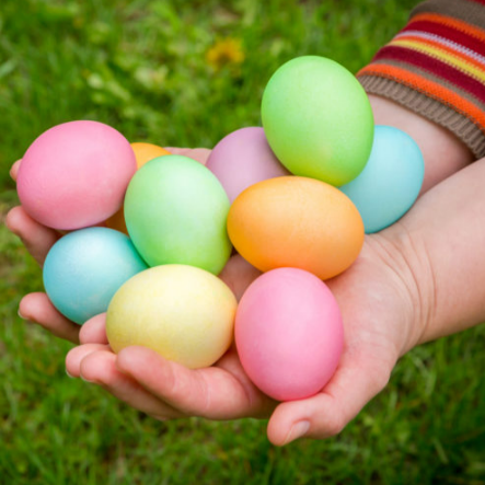 Chasse aux oeufs de Pâques au Parc des Oiseaux - oeufs multicolores