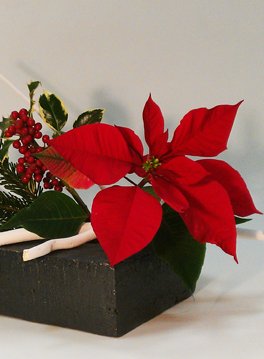 Espace Lyon Japon : Ikebana Noël