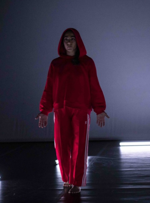 Le Petit Chaperon rouge - Sylvain Huc