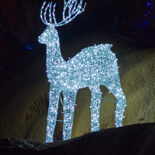 Noël au Grotte du Trabuc
