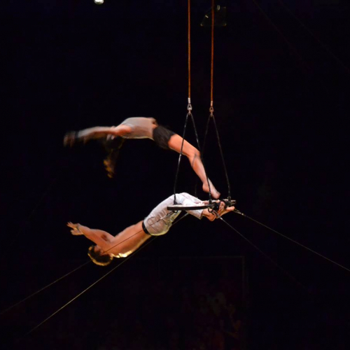 Ningunapalabra - Josefina Castro et Daniel Ortiz