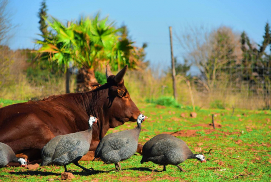 ZooParc du Cannet des Maures