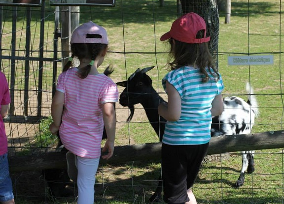 La ferme de Diverty Parc
