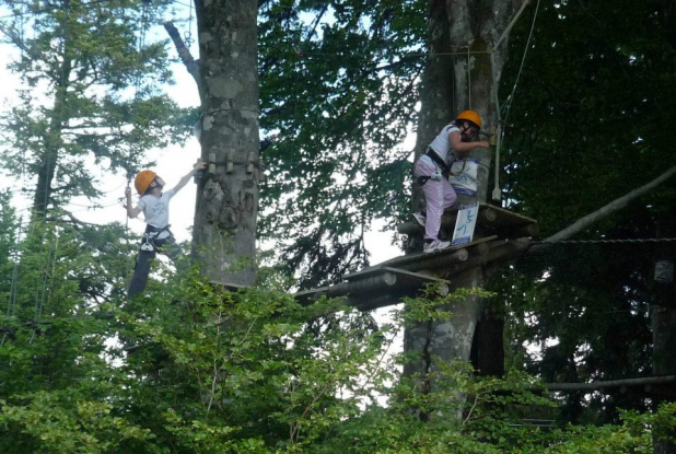 Mont-Dore Aventures : Dans les arbres