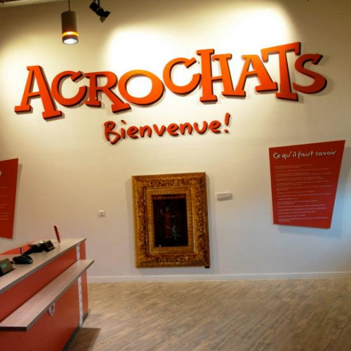 acrochats plaisir