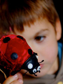 Petites bêtes à tous les étages