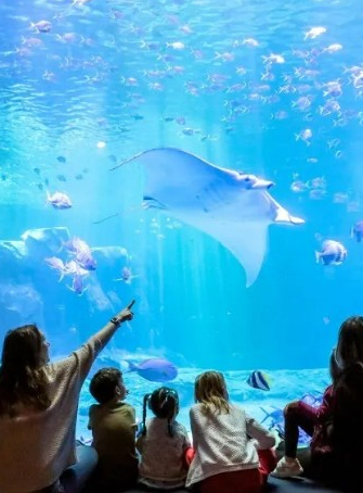 Découverte de Nausicaa