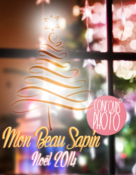 Concours photo mon beau sapin 2014