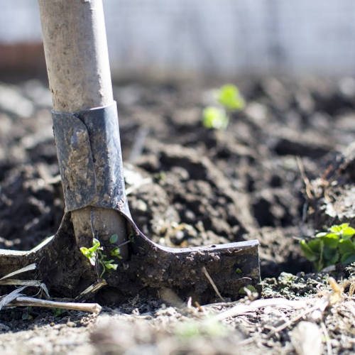 Atelier du petit jardinier écolo