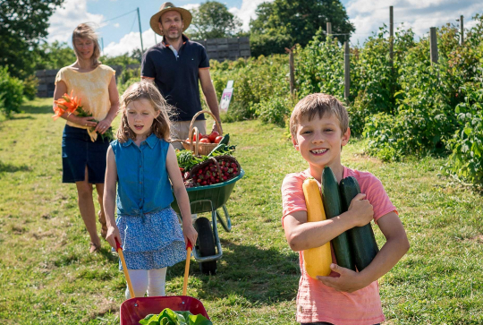 Cueillette d'Eckwersheim