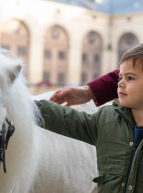 Château de Chantilly : enfant caresse un cheval