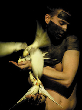 La Confidence des oiseaux