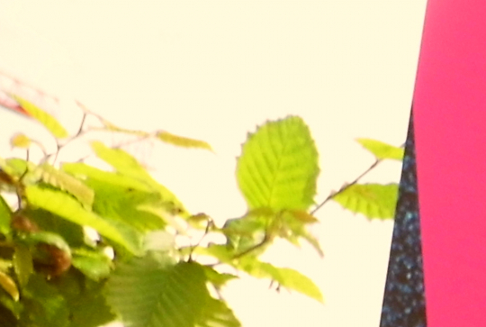 Paris CinéMômes 2013