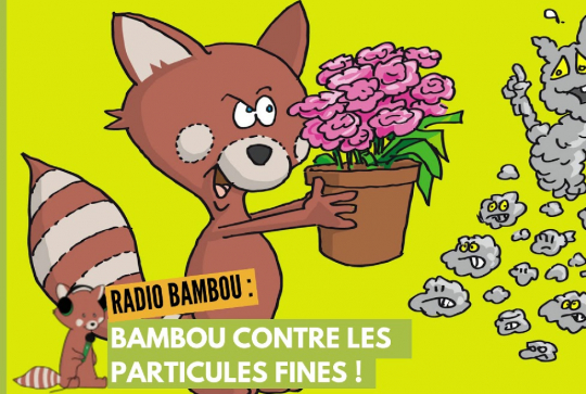 Radio Bambou