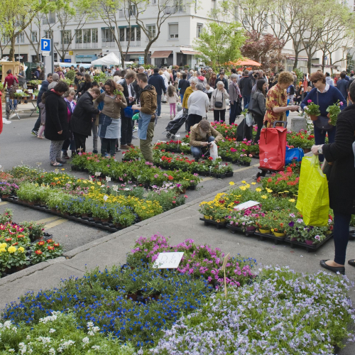 Marché aux plantes de Gratte-Ciel Villeurbanne