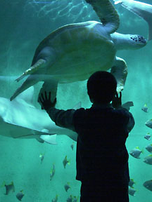 Aquarium de Lyon
