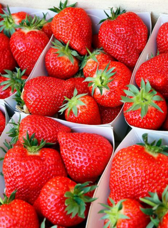 Fête des fraises de Carros