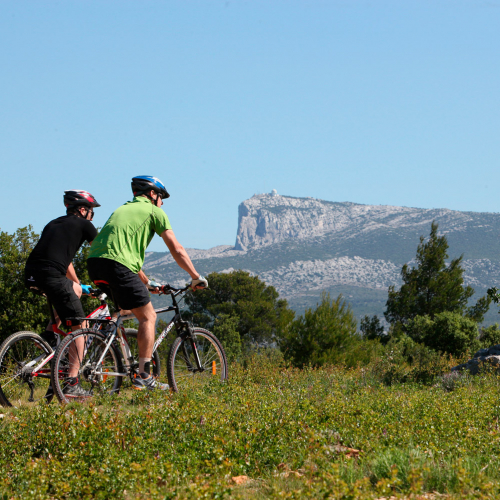 Forêt départementale de Fontblanche