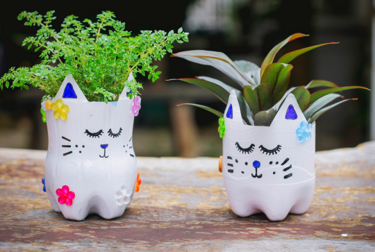 Pot de fleurs DIY chats