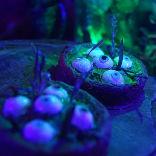 Dimension Énigma spécial Halloween