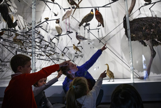 Visite guidée pour les enfants au Musée des Confluences