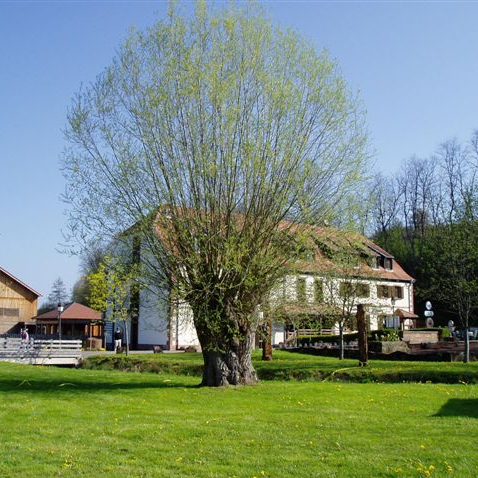 Moulin d'Eschviller