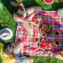 Top des parcs pour un pique-nique à Strasbourg