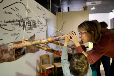 Le top des muséums histoire naturelle et civilisation pour les enfants - Muséum de Toulouse