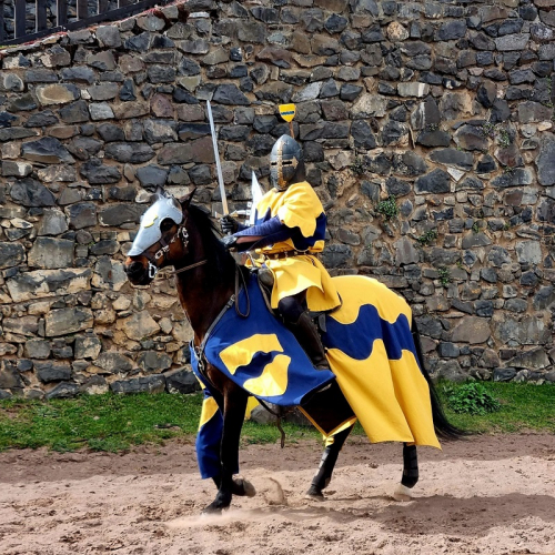 Château de Murol : duel des frères