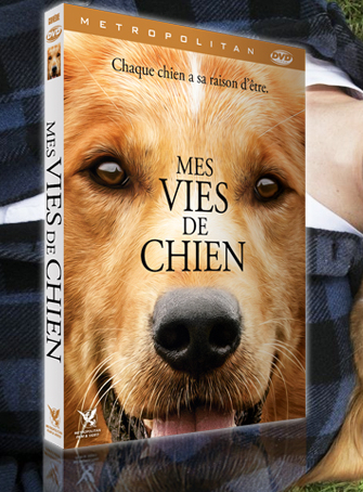 mes vies de chiens