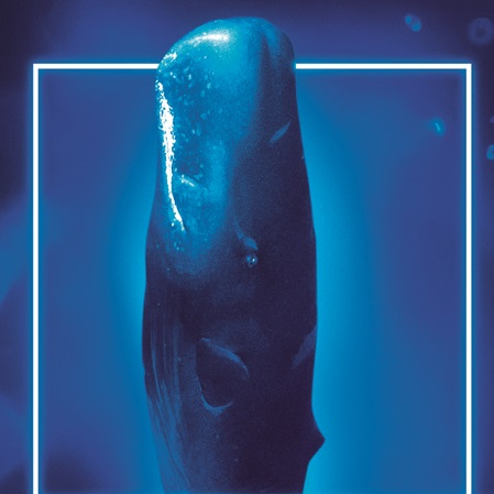 Méditerranée 2050, l'exposition : affiche