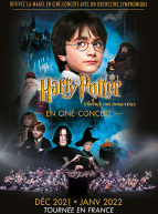 Ciné-concert Harry Potter