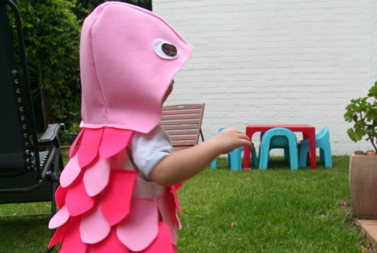 déguisement poisson