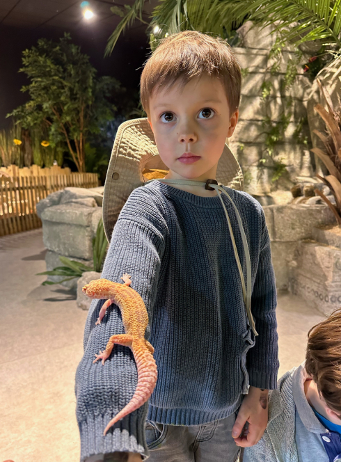 Le Monde de Noé Paris : lézard